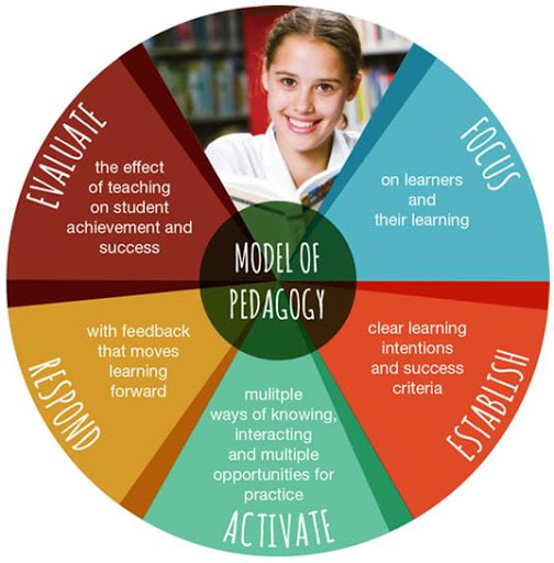Model of Pedagogy.jpg